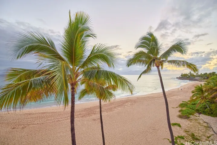 View from Lanai