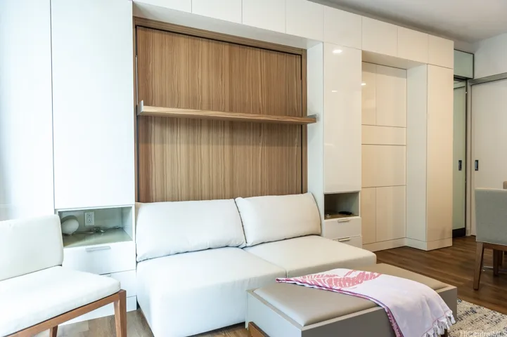 Murphy Bed Raised to create the perfect living area.