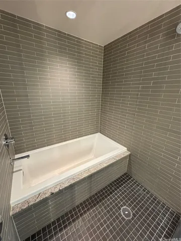 Master bath tub