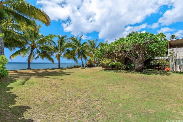 Big backyard with the sandy beach beginning at the line of palm trees