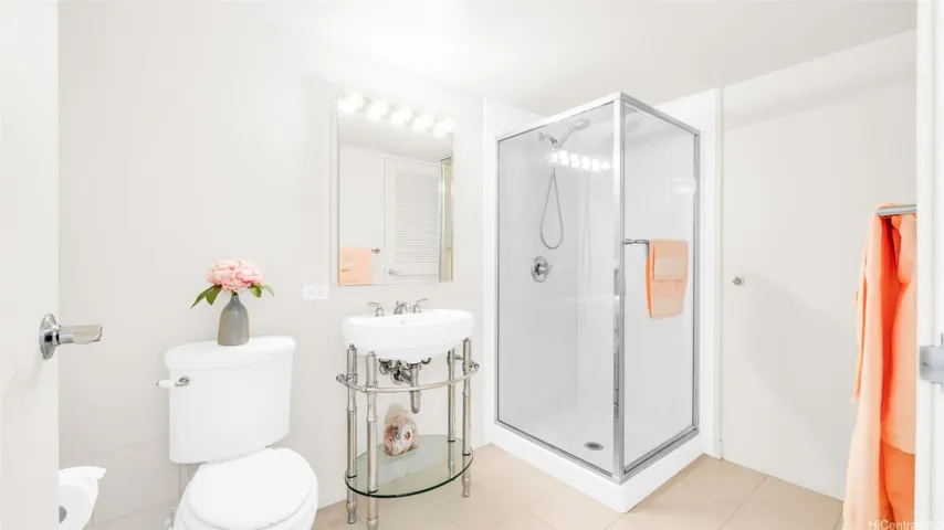 Guest bathroom