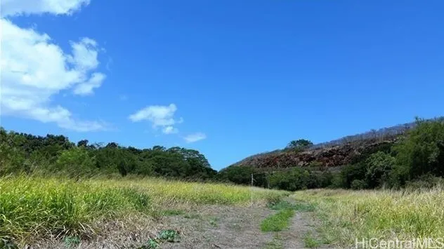 1.6+ open stream front acres on Anahulu river.
