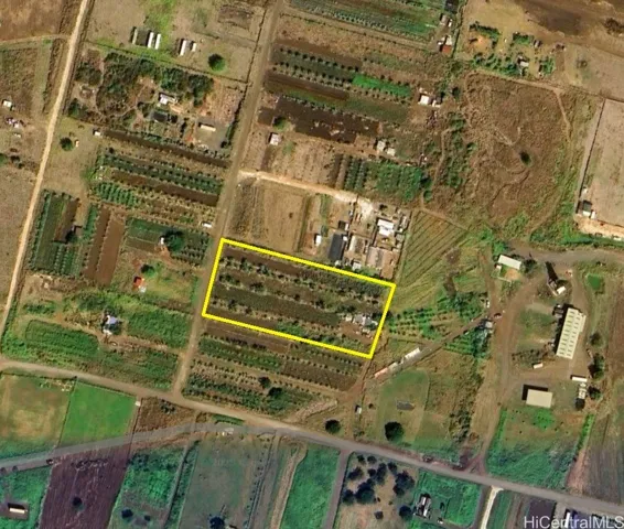Satellite Image Zooming to the Plot