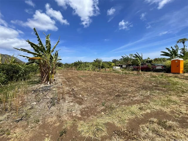 Many Crops Including Bananas and Taro