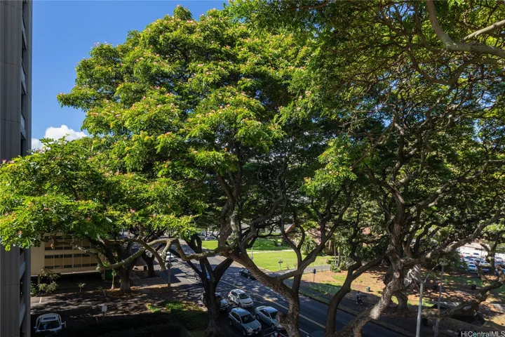 View from lanai.