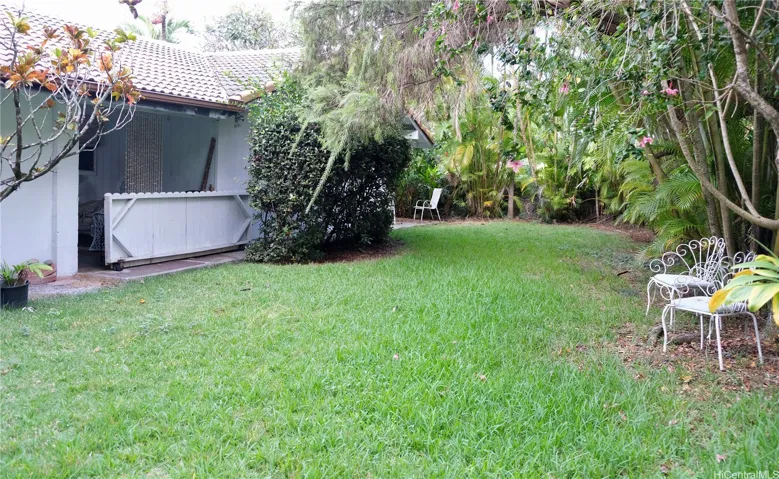 back yard