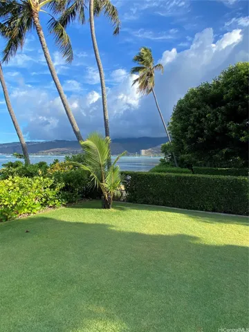 Elevated grass yard with HAWAII KAI and mountains in the background, afternoon in the islands. These coconut treasure are 2-3 times as large now and both trees are from the one coconut.