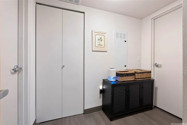 The flex unit has an entry that allows the huge primary bedroom suite and the the remaining 2-rooms and 1-bath condo to be separated. Here you can see the two interior doors to the separated living areas along with a shared washer and dryer closet. Each 'unit' has a separate address if you chose to use it as two.