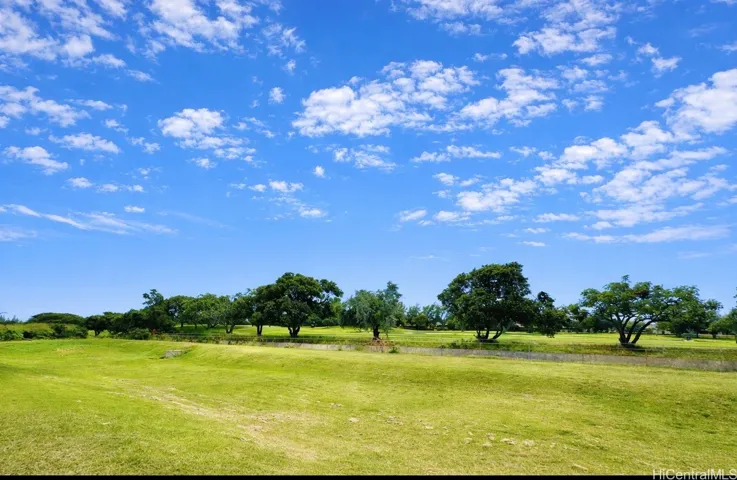 View from backyard