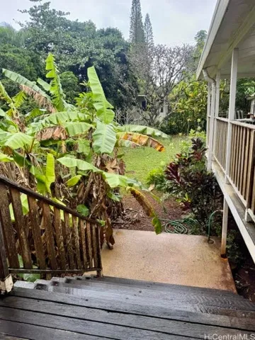 Back Door Steps