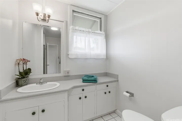 The hall bath has a shower and extra cabinets for storage.