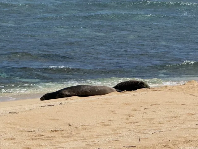 These 2 seals were in front of the property.