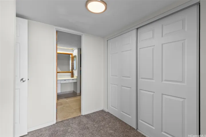 Open Walk-in Closet with new carpet.
