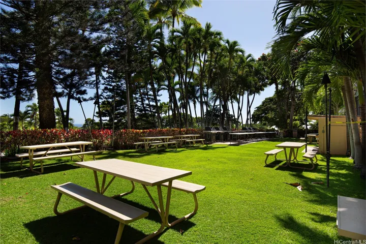 BBQ and Picnic Area