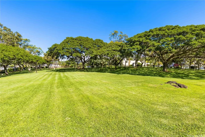 Regency Park Green Area to roam