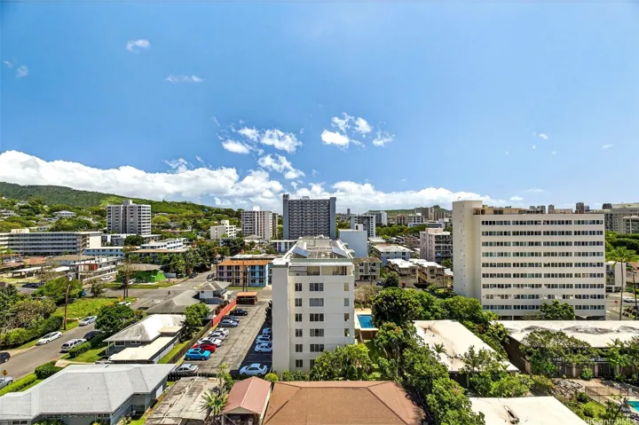 Mauka mountain view