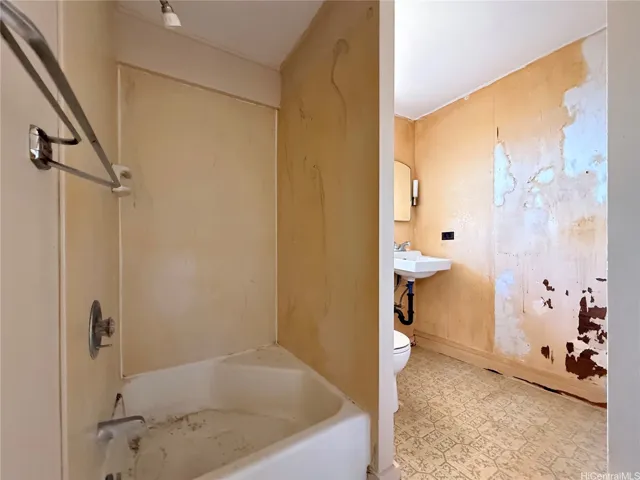 Lower level bathroom