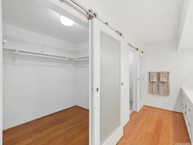 Primary walk-in closet