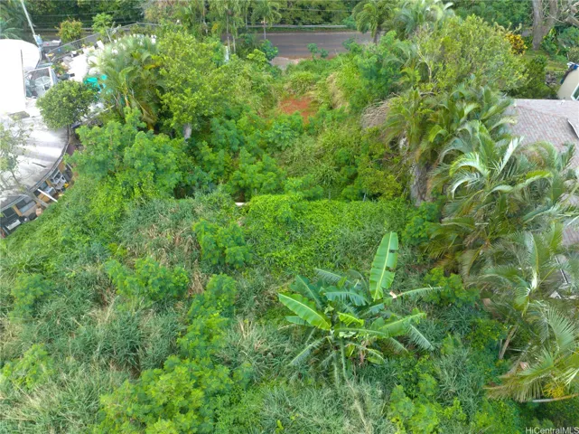 back view of lot
