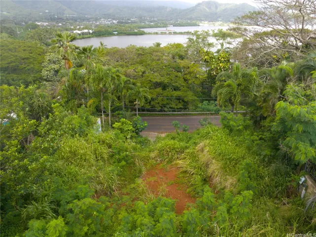 imagine this view from your brand-new home