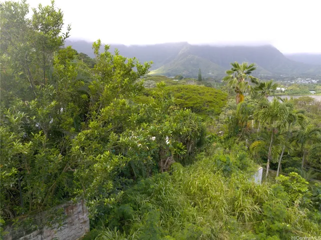 Ko'olau view