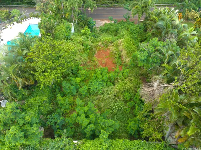 lush vegetation