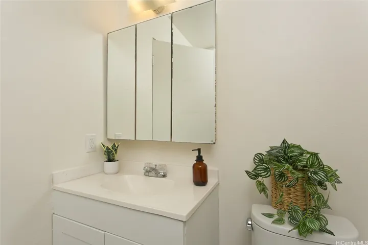 Half bathroom downstairs