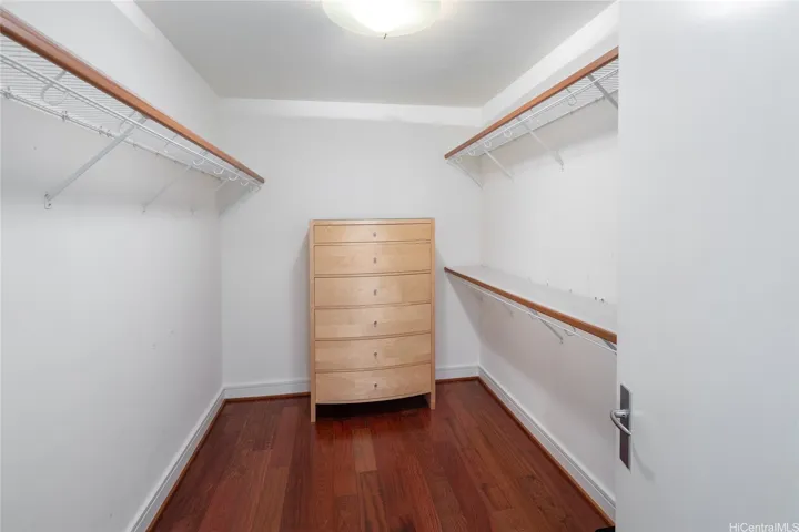 Primary Walk-in Closet