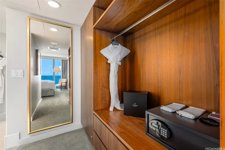 Primary spacious closets