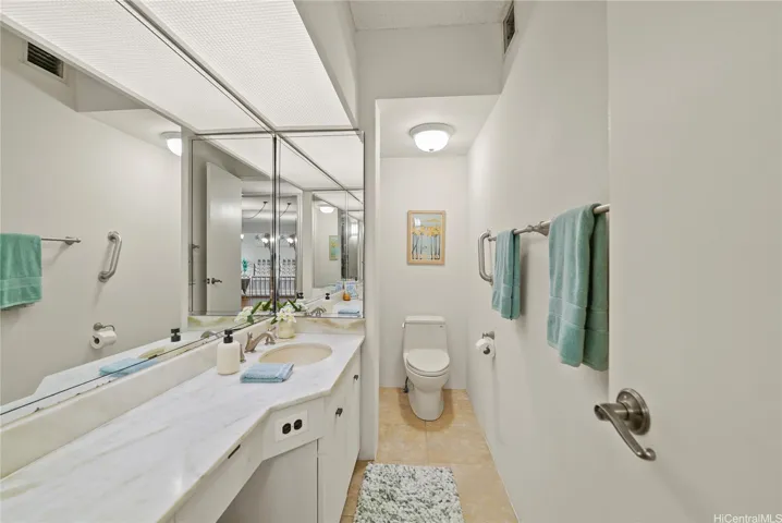 Hallway bathroom downstairs.