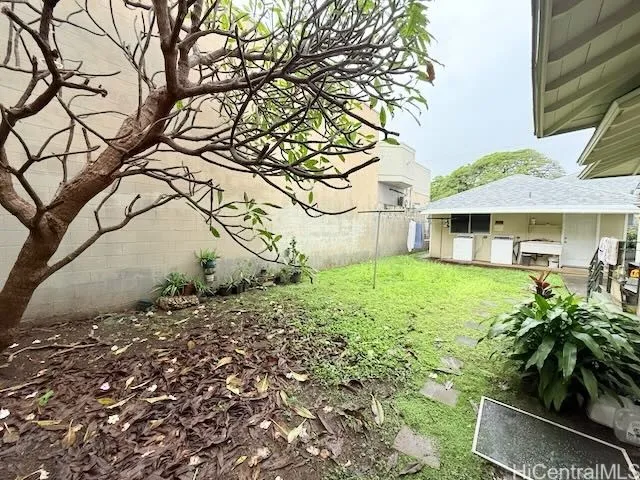 Back yard - open space.
