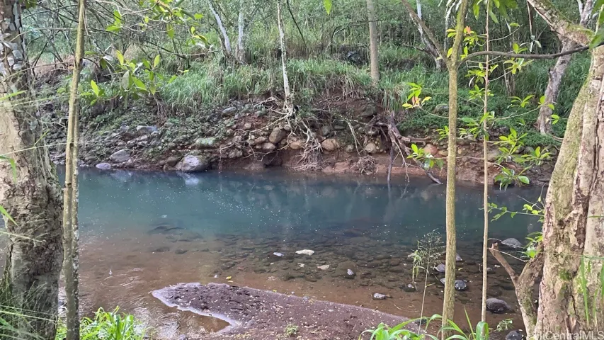 Your own personal swim hole in your back yard.