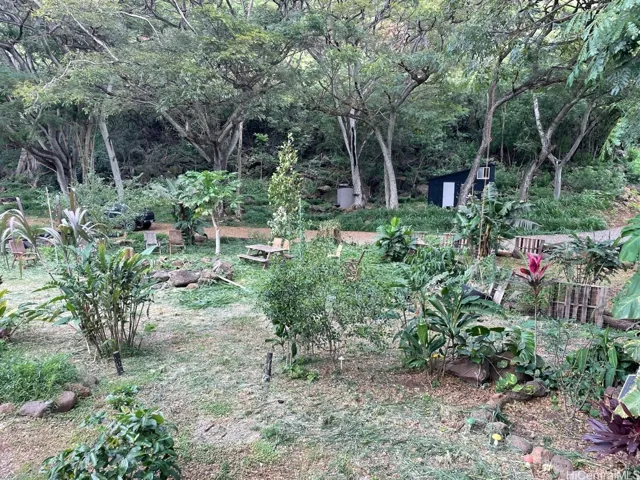Small fruit and flower orchard ready to pick