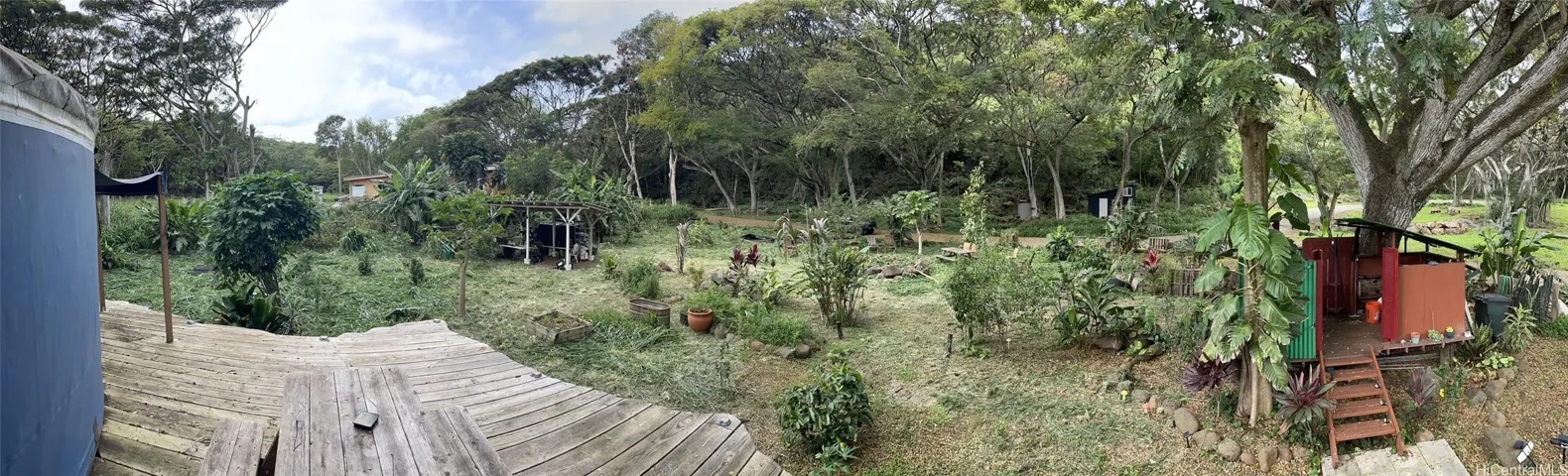 Small farm with fruit trees and mixed flowers and more.