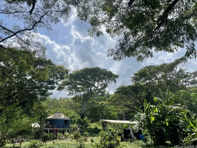 Comes with an outdoor shower, small guest shed and fruit trees already planted.