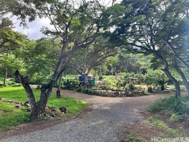 Beautiful Monkeypod Trees and meandering farm road.