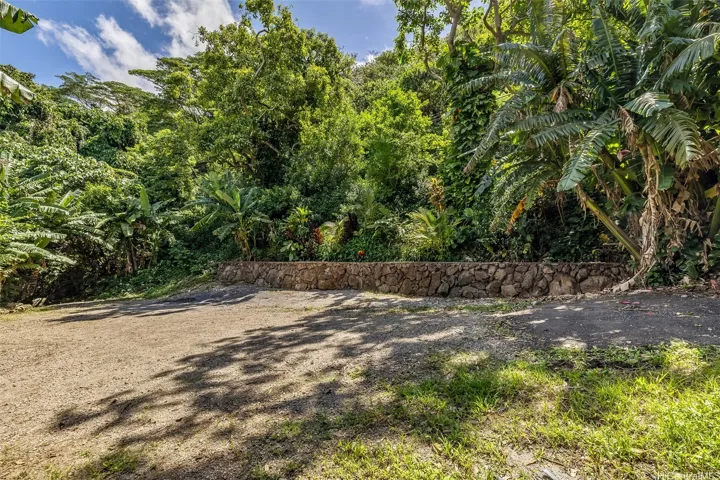 Newly Constructed  Rockwall with Tropical Landscaping