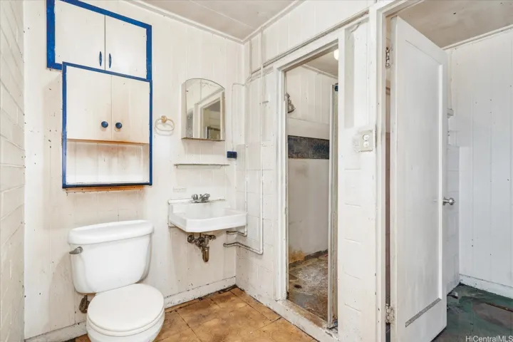 Lower level bathroom.