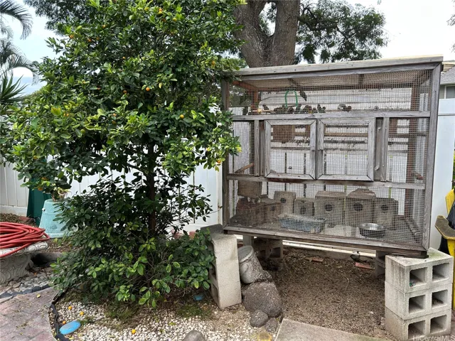 bird cage