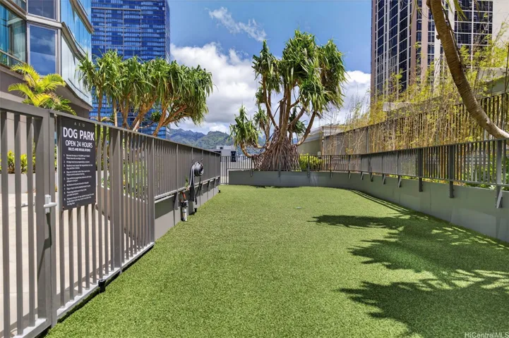 Dog run/park
