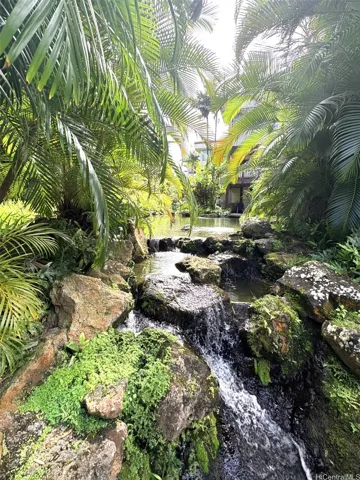 Koi Pond