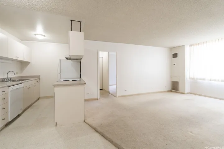 Kitchen and living room