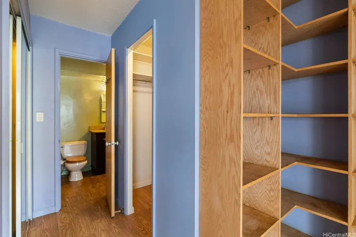 Large walk in closet on the right.