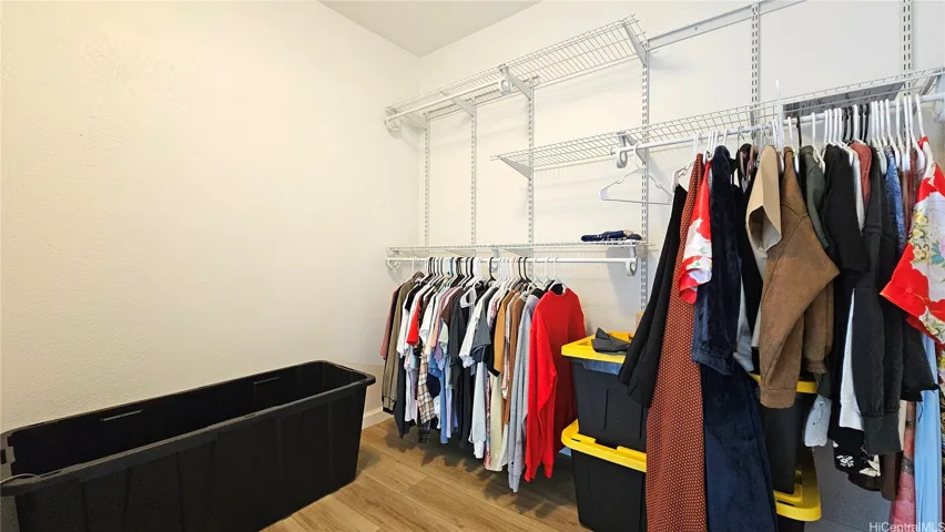 Spacious walk-in closet.