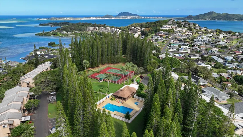 The main pool and the courts are surrounded by tall trees adding extra protection and comfort on sunny, or windy days.