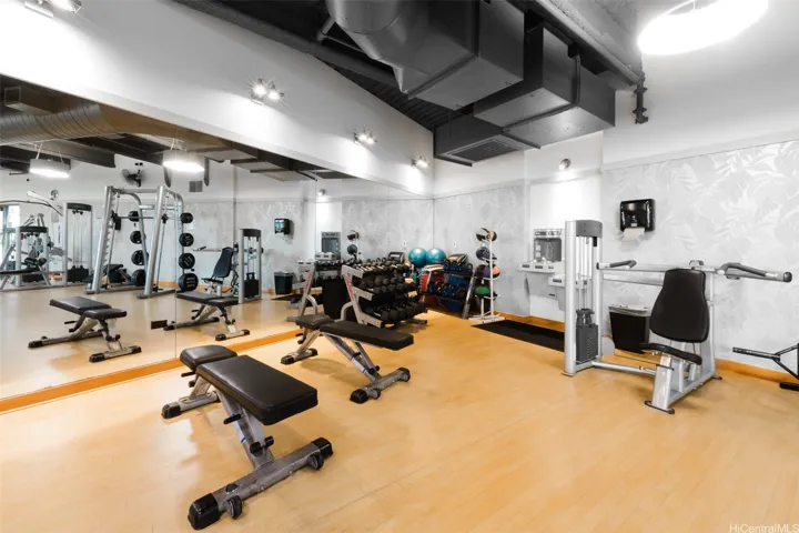 gym weights