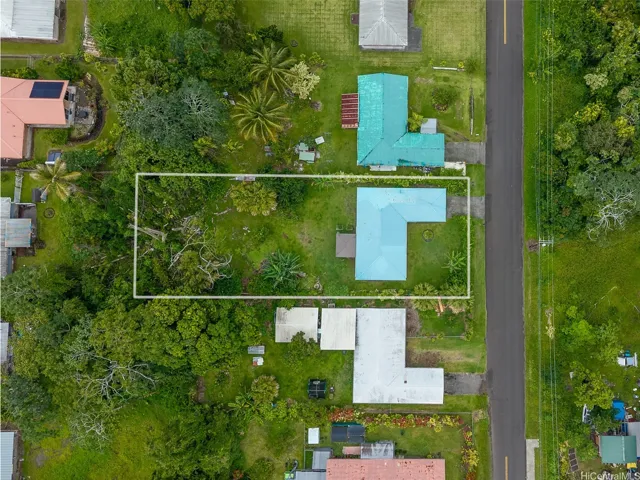 drone shot of the house from above.  see how large the back yard is.
