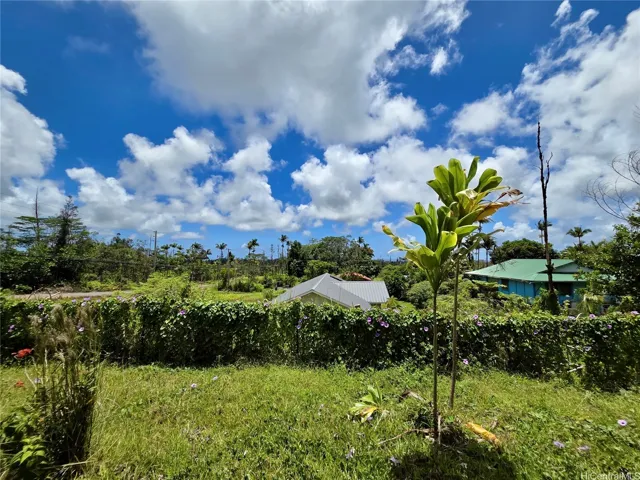 Private side yard with mature landscaping and room to garden, entertain, or expand outdoor living.