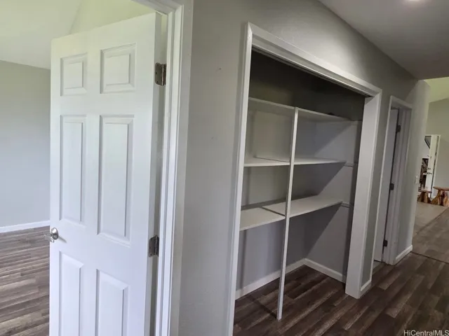 Spacious closet provides additional storage and organization options.