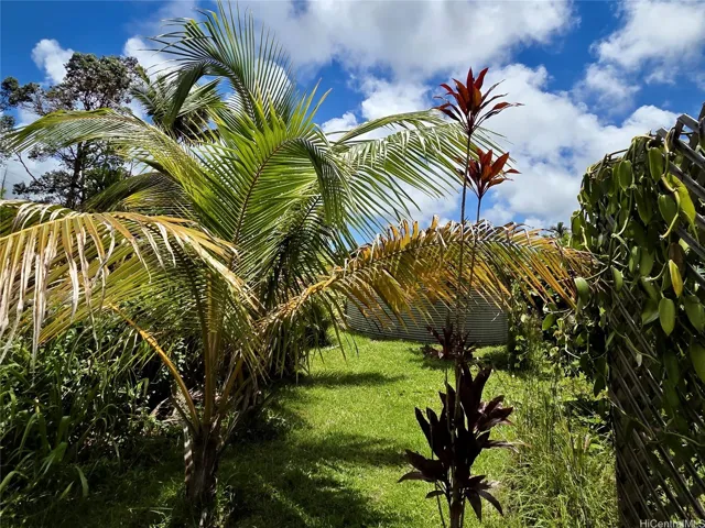 Generous yard space surrounded by lush tropical greenery and established plantings.